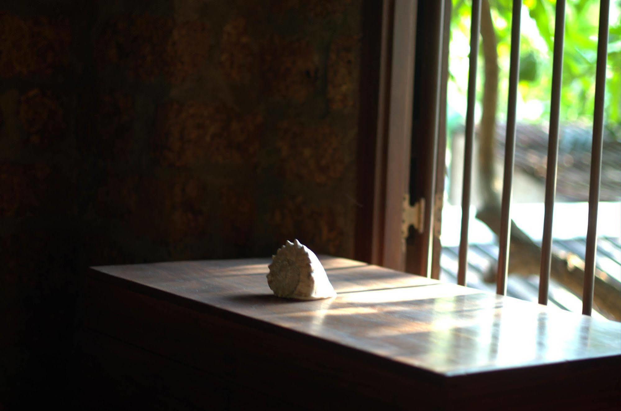 Hostel City Hub Colombo Airport カトゥナカヤ エクステリア 写真